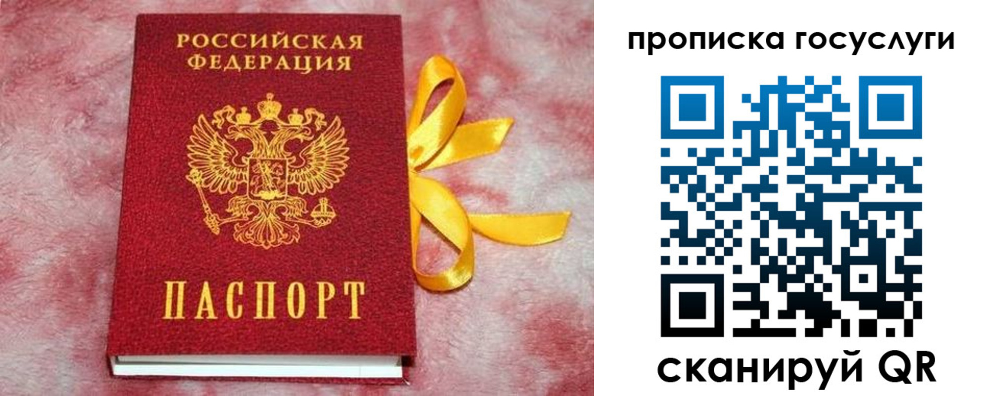 регистрация в Орловской области